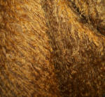 String-Mohair ca. 40 mm Flor  SBSOLX04, Flor ca. 40 mm, kupferbraun
