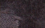 Alpaka, 8-10 mm Florlänge, dicht und sehr weich, schwarzbraun