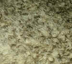 mitteldicht, Flor ca. 15 mm, hellbeige dunkelgrau gespitzt
