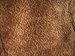 Pfotenstoff - Velour genarbt
