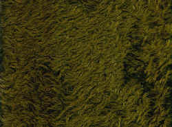Mohair Antik-Art, Flor dicht, ca. 16 mm, leicht verfilzt - Farbe mossgr�n