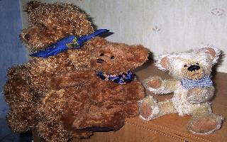 fritzib.jpg (17217 Byte)